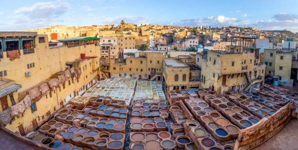 Tour culturale da Fès